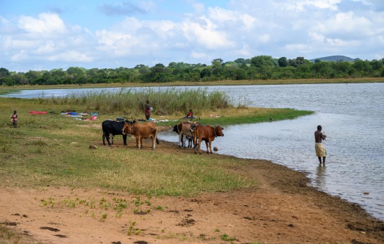 Instalacja chłodni dla farmy w Kasisi (Zambia)