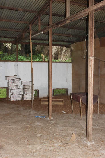 Hodowla drobiu dla sierocińca w Jaunde (Kamerun)