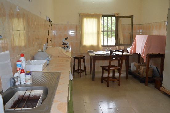 Pomoc laboratoriom w ośrodkach zdrowia (Togo)