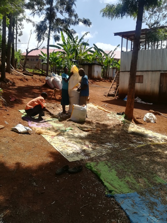 Ogród warzywny i hodowla kur w Nairobi (Kenia)