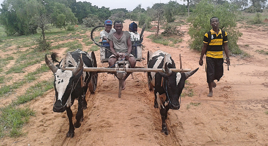 Budowa przychodni w Befasy (Madagaskar)
