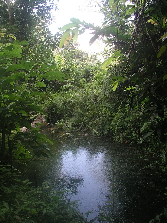 Budowa stawów rybnych w Atoku (Kamerun)