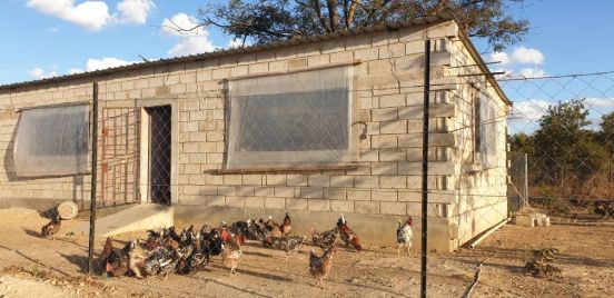 Ferma kur w Chamuka (Zambia)