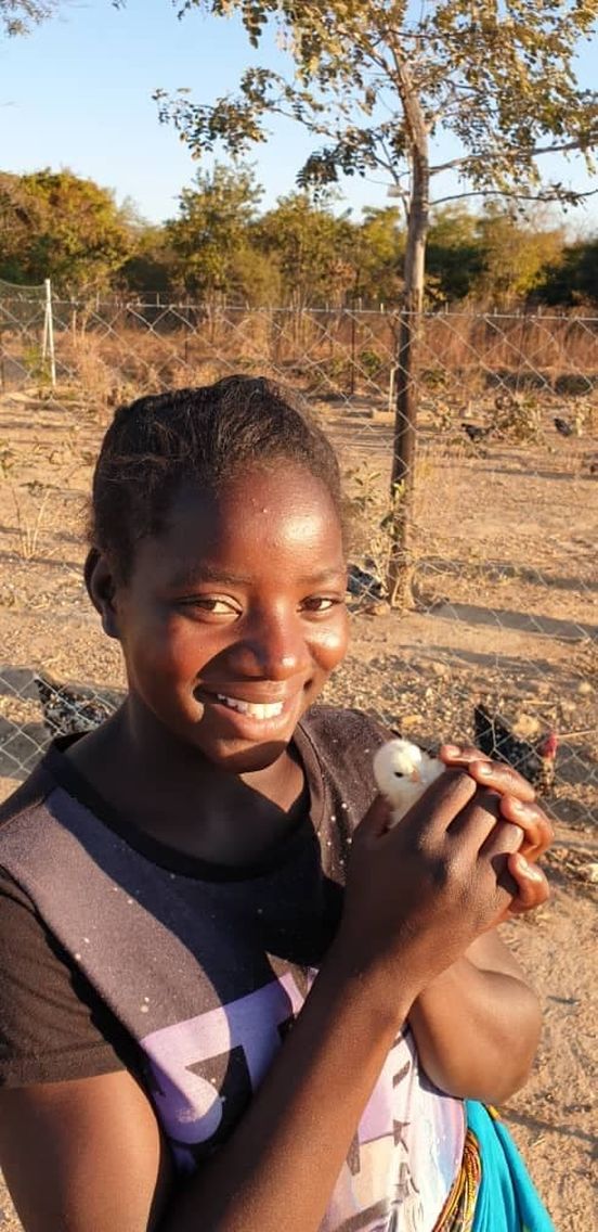 Ferma kur w Chamuka (Zambia)