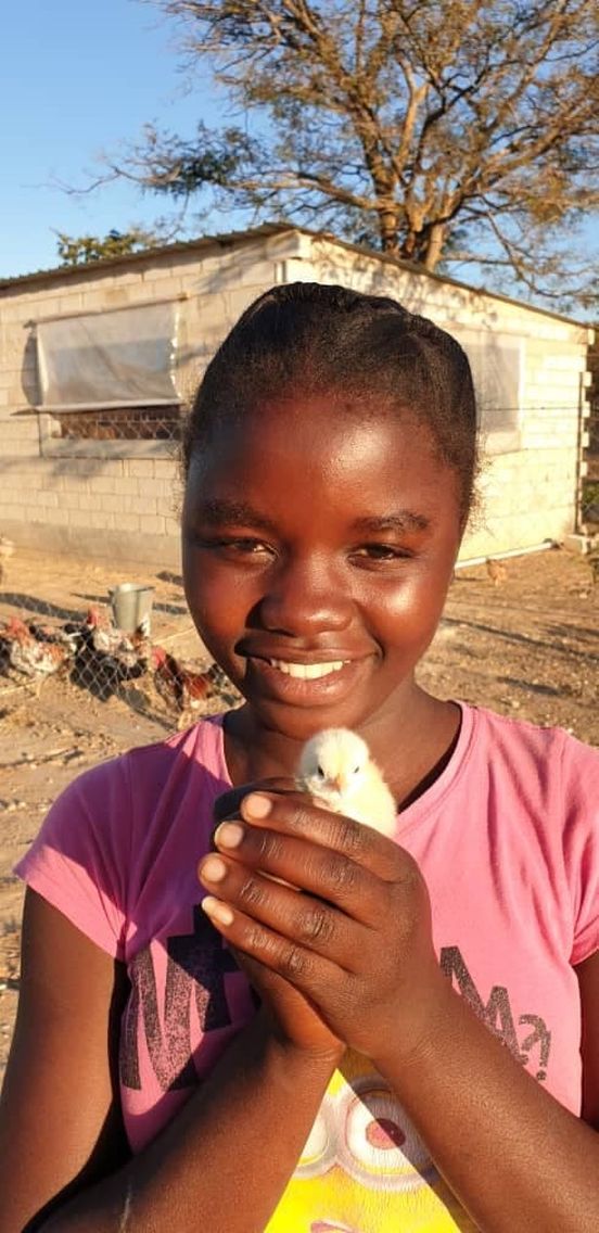 Ferma kur w Chamuka (Zambia)