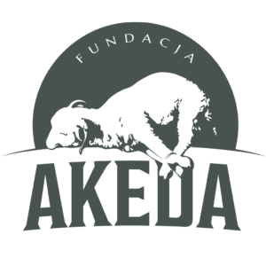African Music School