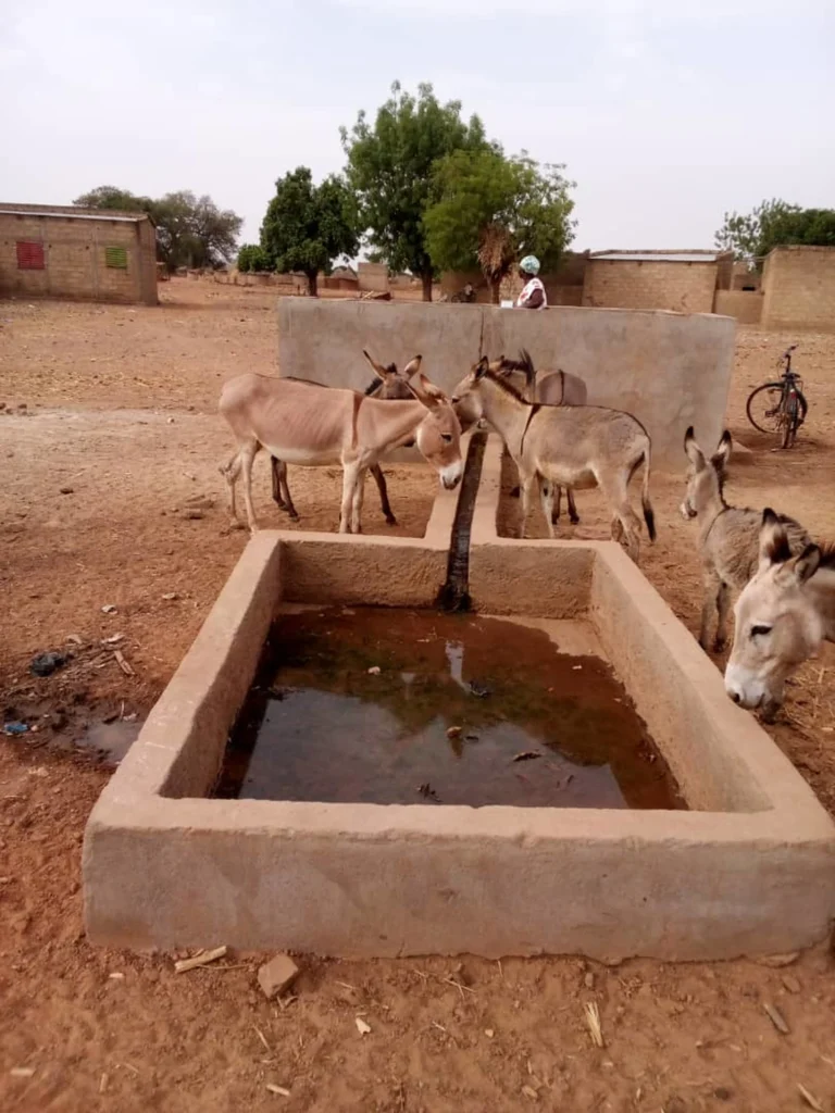 Projekt rolniczy w Lergho (Burkina Faso)