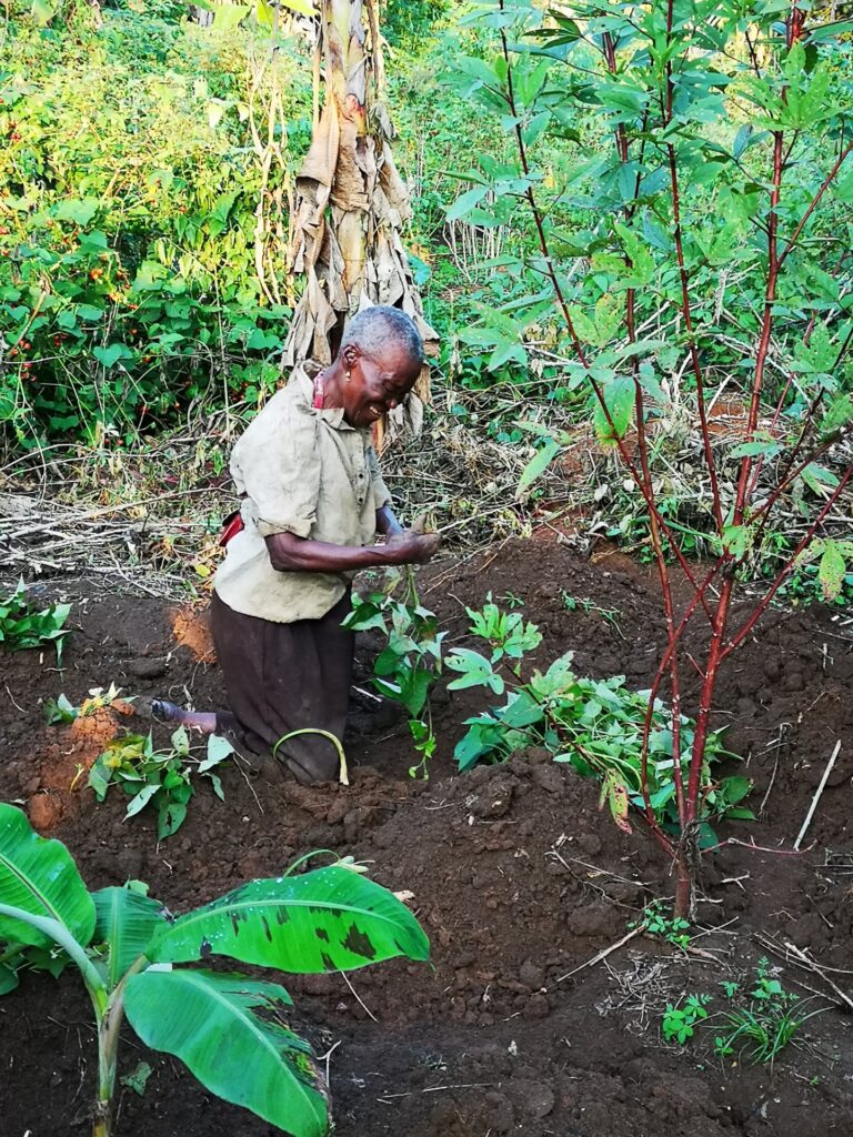 Budowa szkoły w Koudandeng (Kamerun)