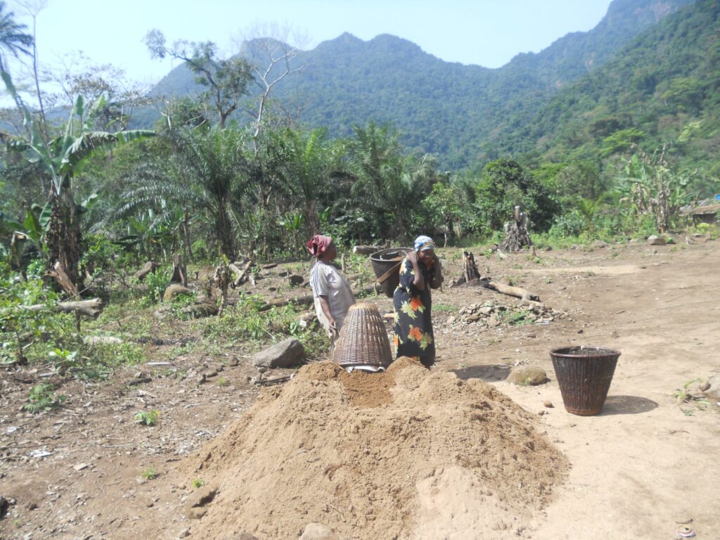 Budowa mostu w Ebase-Bajoh (Kamerun)