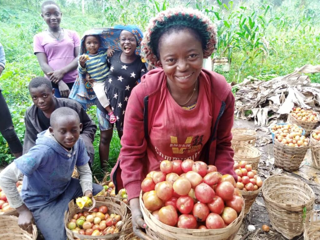 Budowa mostu w Ebase-Bajoh (Kamerun)