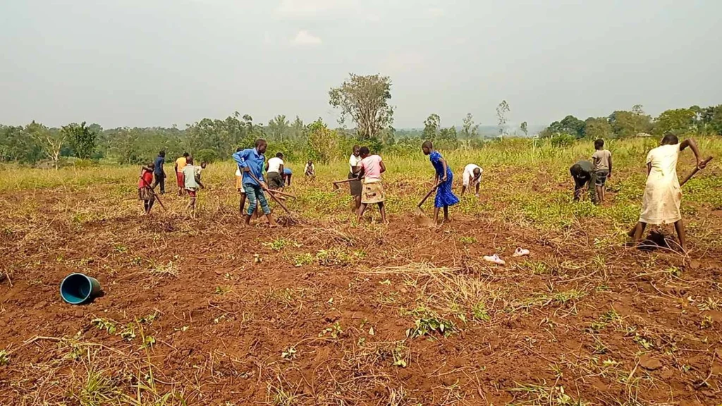 Budowa fermy dla sierocińca w Nawanyago (Uganda)